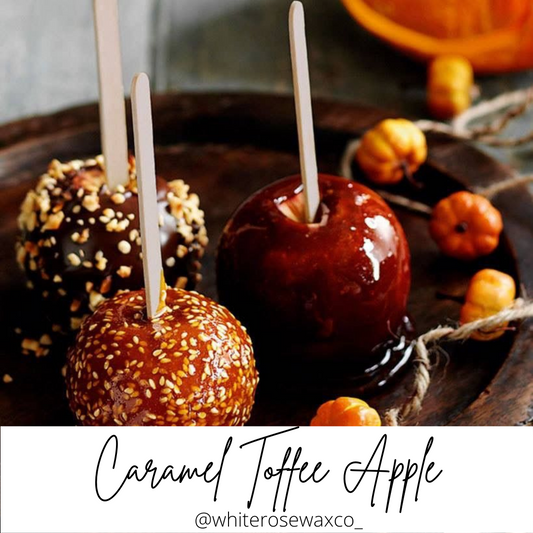 Snap Bar - Caramel Toffee Apple