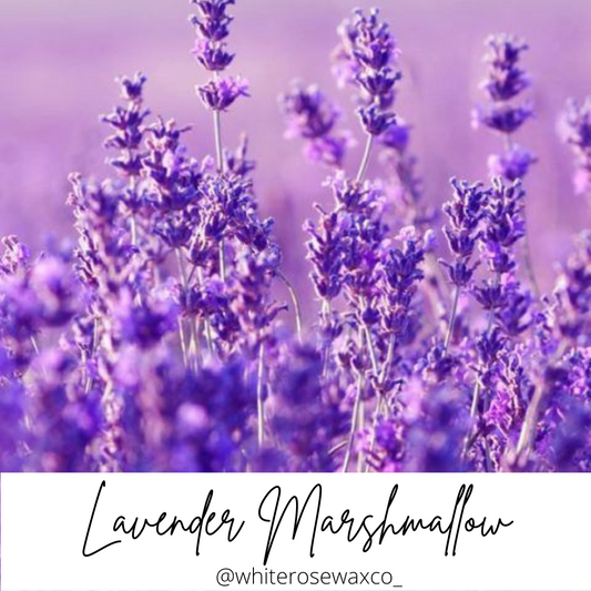 Snap Bar - Lavender Marshmallow