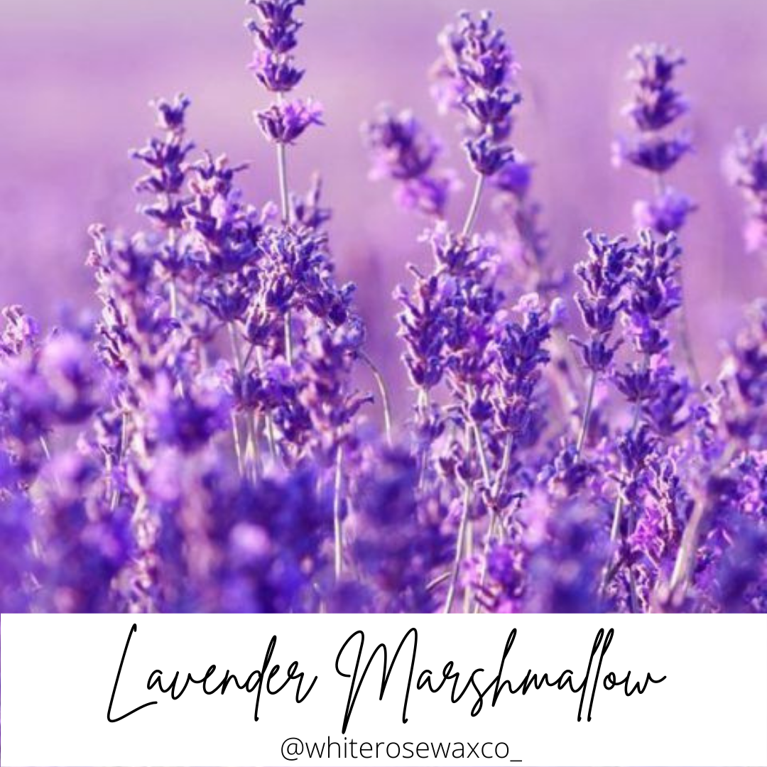 Snap Bar - Lavender Marshmallow
