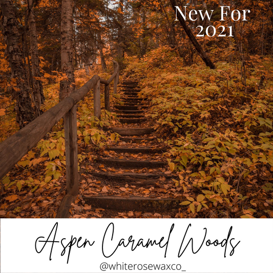 Snap Bar - Aspen Caramel Woods