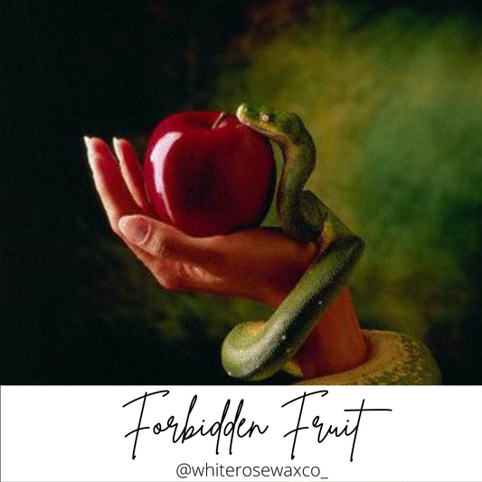 Wax Melt Shapes - Forbidden Fruit Discs