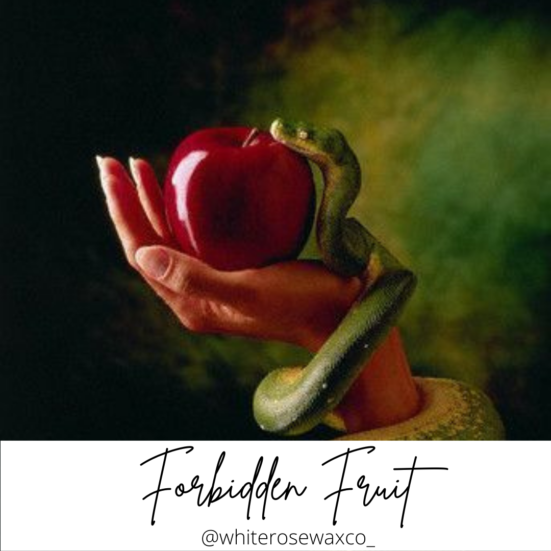 Snap Bar - Forbidden Fruit