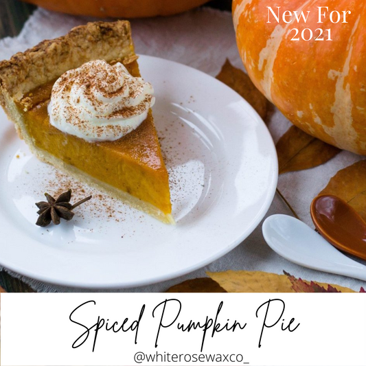 Wax Melt Snap Bar - Spiced Pumpkin Pie