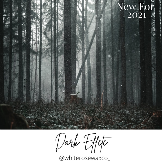 Wax Melt Shapes - Dark Effete Discs