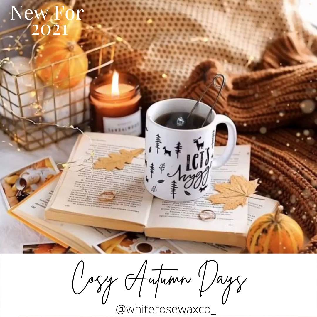 Snap Bar - Cosy Autumn Days
