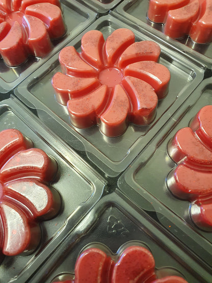 Wax Melt Swirl Clamshells - Raspberry Delight