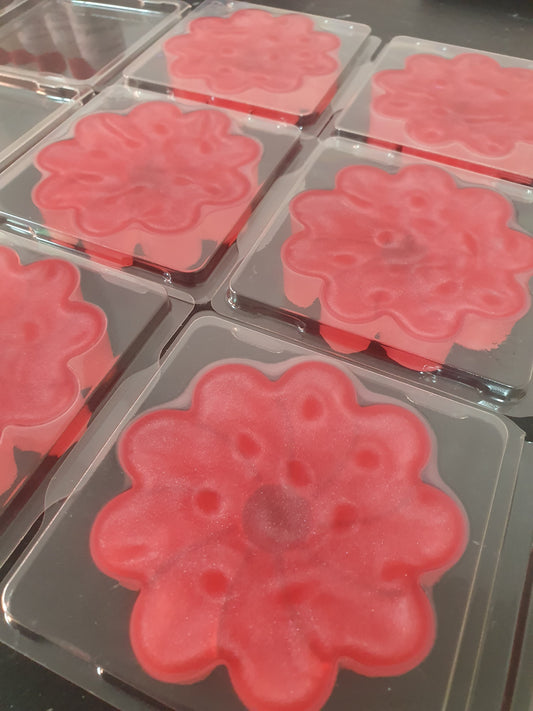 Wax Melt Swirl Clamshells - Sunset Sands