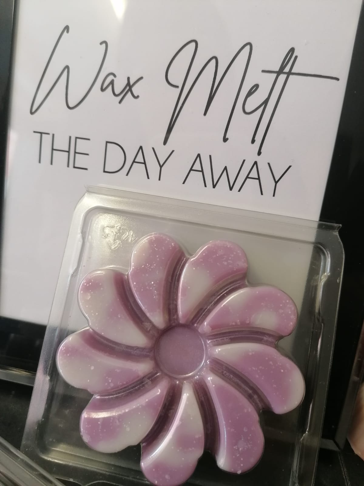 Wax Melt Swirl Clamshells - Lavender Marshmallow